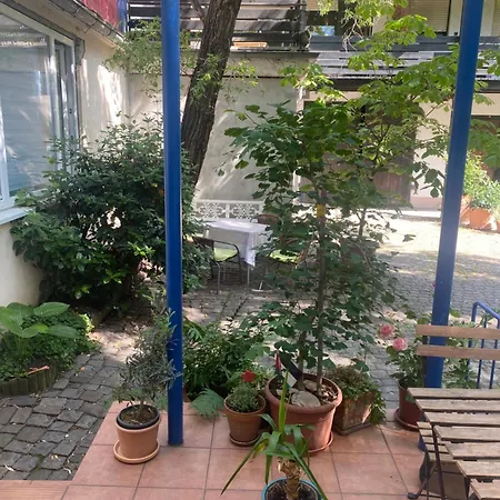 Dein Rückzugsort In Der Pfalz Apartment